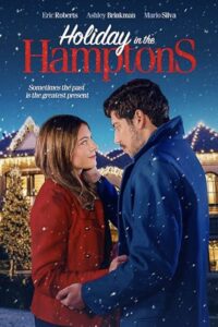 Holiday in the Hamptons poster (querying producers)